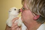 ADULTE ET CHIEN 372